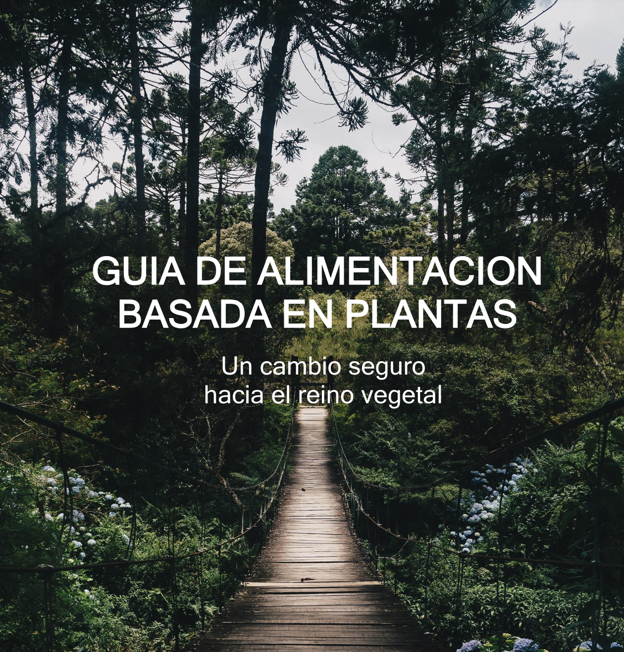 Guía de alimentación vegana/vegetariana